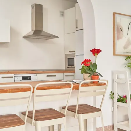 Frontline Vacation A86 2 Torrox